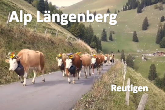 08_Alp Längenberg Reutigen.png
